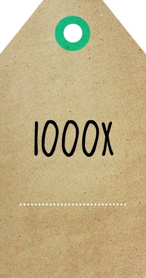 1000x - Zingever