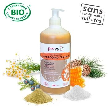 Shampoing traitant certifié Bio - Propolis, Miel, Argile & Cade - Flacon pompe 500 ml 6