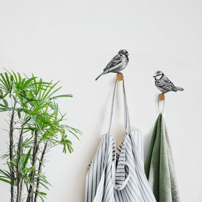 Juego de clavijas de pared de pájaros - ilustración de pájaros - gorrión y herrerillo común - decoración de pared
