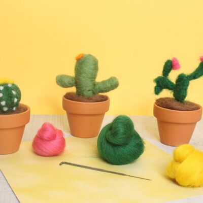 Mini Cactus Needle Felting Kit