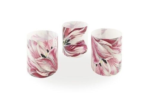 Candle shades, set of 3, Merian, Three Tulips
