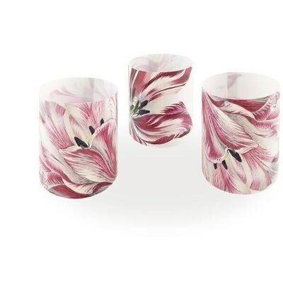 Candle shades, set of 3, Merian, Three Tulips