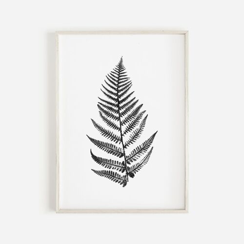 Fern Leaf Monochrome Print | Botanical Wall Art A4