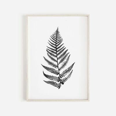 Fern Leaf Monochrome Print | Botanical Wall Art A3