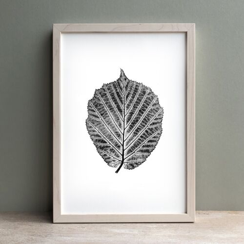 Hazel Leaf Monochrome Print | Botanical Wall Art A4