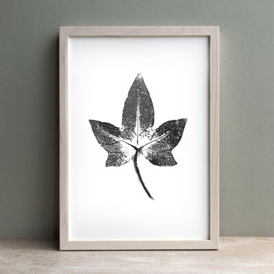 Ivy Leaf Monochrome Print | Botanical Wall Art A4