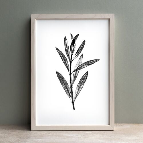 Olive Leaf Monochrome Print | Botanical Wall Art A4