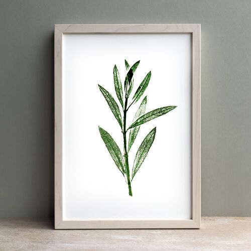 Olive Leaf Monoprint Green | Botanical Wall Art A4