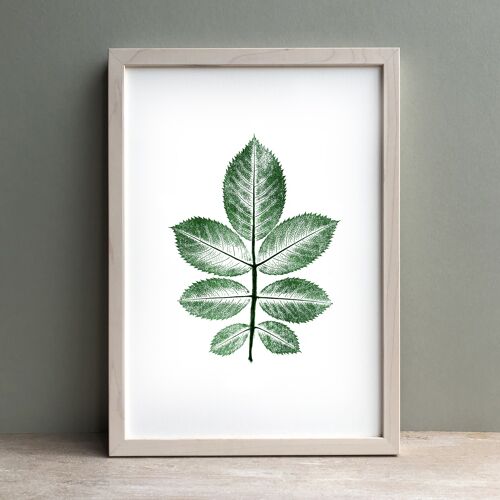 Rose Leaf Monoprint Green | Botanical Wall Art A4