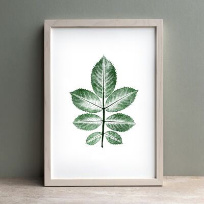 Rose Leaf Monoprint Green | Botanical Wall Art A3