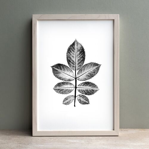 Rose Leaf Monochrome Print | Botanical Wall Art A4