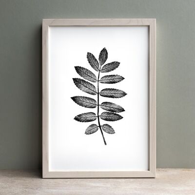 Rowan Leaf Monochrome Print | Botanical Wall Art A4