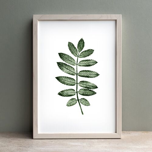 Rowan Leaf Monoprint Green | Botanical Wall Art A4