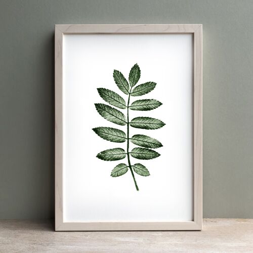 Rowan Leaf Monoprint Green | Botanical Wall Art A3