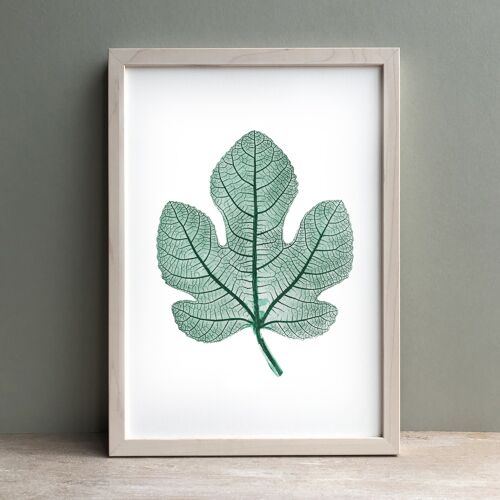 Fig Leaf Monoprint Green | Botanical Wall Art A4
