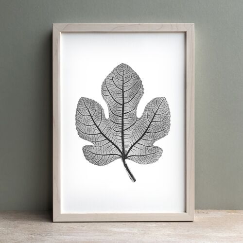 Fig Leaf Monochrome Print | Botanical Wall Art A4