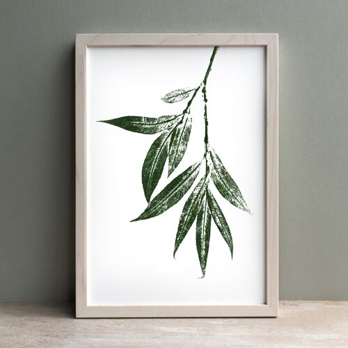 Willow Leaf Monoprint Green | Botanical Wall Art A4