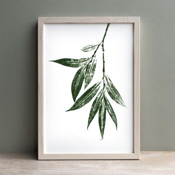 Willow Leaf Monoprint Vert | Déco murale botanique A4