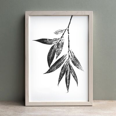 Willow Leaf Monochrome Print | Botanical Wall Art A4