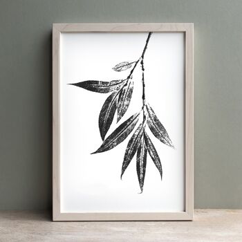 Impression monochrome feuille de saule | Déco murale botanique A3