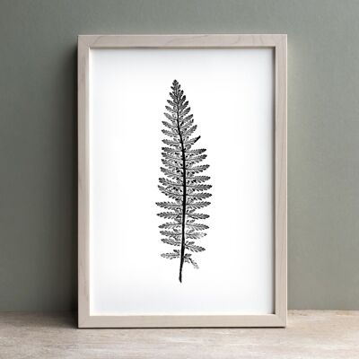 Tall Fern Leaf Monochrome Print | Botanical Wall Art A4