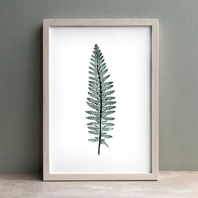 Tall Fern Leaf Monoprint Green | Botanical Wall Art A4