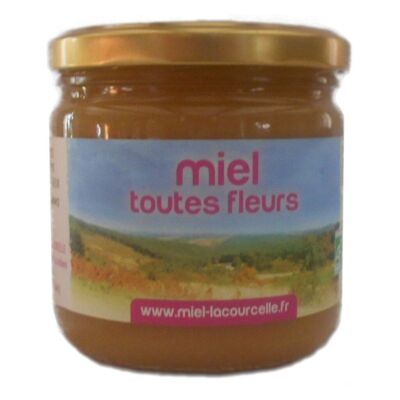 Miel de todas las flores ecológica de Francia 500g
