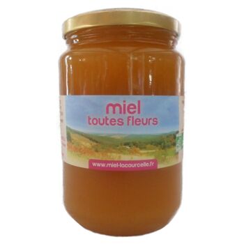 Miel toutes fleurs bio origine France 1kg 1