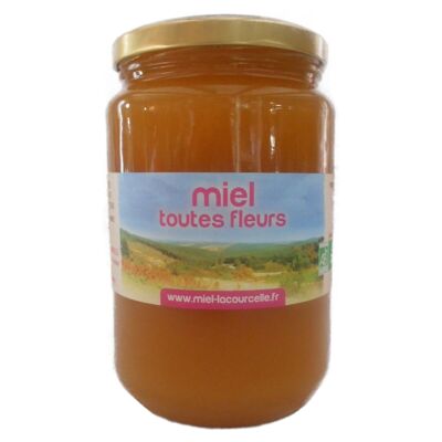 Miel toutes fleurs bio origine France 1kg