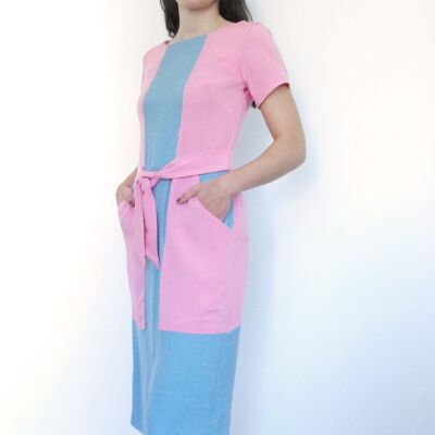 Blue and pink dairy dress