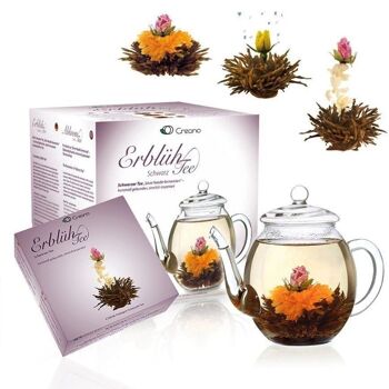 Coffret cadeau Creano AbloomTea "Thé noir" 1