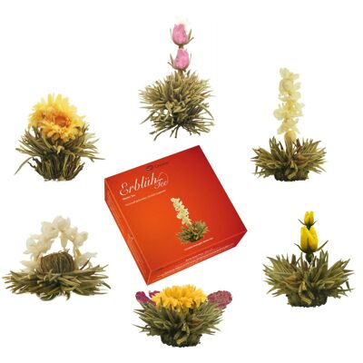Coffret de 6 AbloomTea "Thé Blanc"