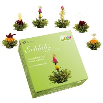 Coffret de 6 AbloomTea "Thé Vert" 1