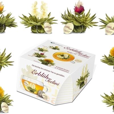 Box of 8 ErbloomTeelini "White Tea"