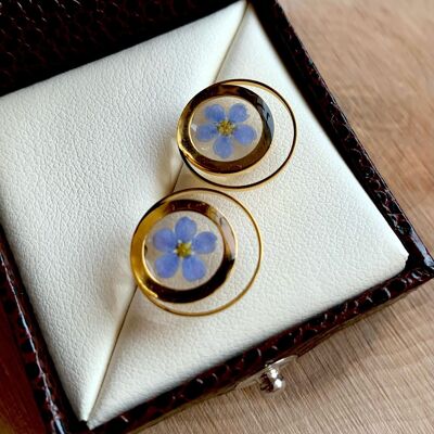 Boucles d'oreilles fleur séchée Myosotis puces double rond doré