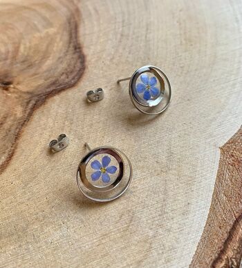 Boucles d'oreilles fleur séchée Myosotis puces double rond argenté 3