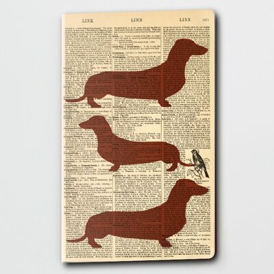 Dizionario Arte Bassotto Salsiccia cane Notebook WAN22403