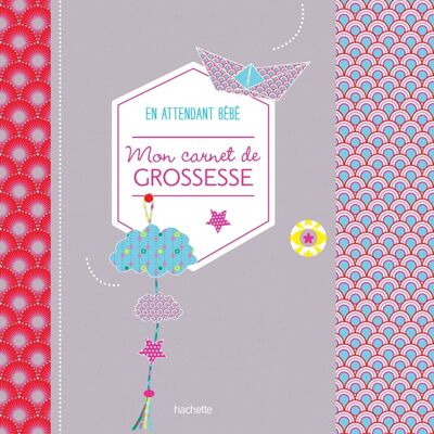 LIVRE PARENTING - Mon carnet de grossesse en attendant bébé