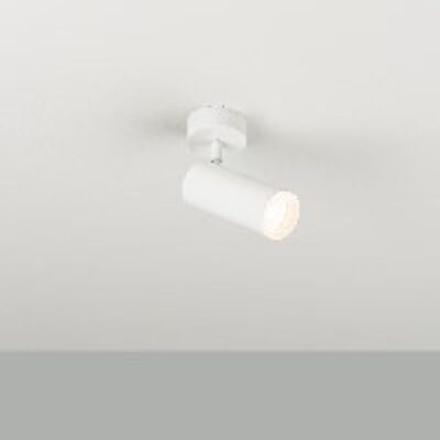 mlnHAUL - SPOT LIGHT 1 X LED DOB 5 W  WHITE  LACQUERING HAUL SERIES