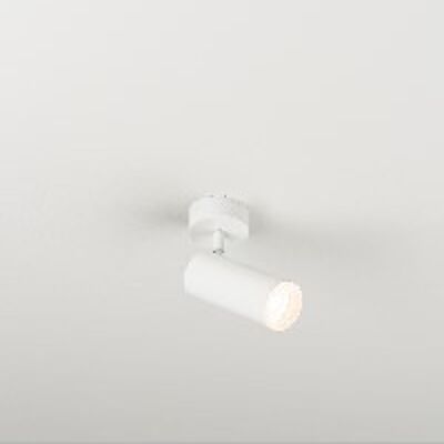 mlnHAUL - SPOT LIGHT  SMALL 1 X LED DOB 5 W  WHITE  LACQUERING HAUL SERIES