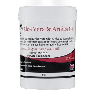 Gel de Aloe Vera y Árnica 300g