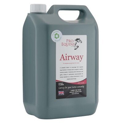 Airway Respiratory supplement for horses - 5 litres