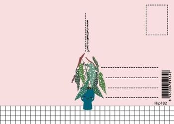 Carte postale Begonia plante à pois 2