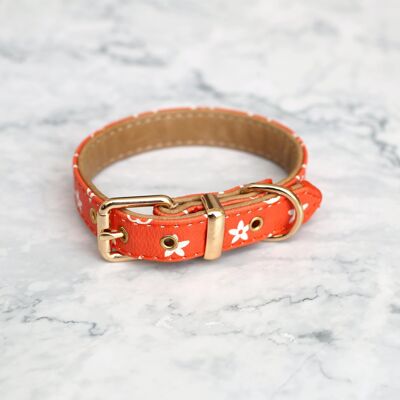 Premium-Vintage-Leder-Hundehalsband-Orange-Blossom