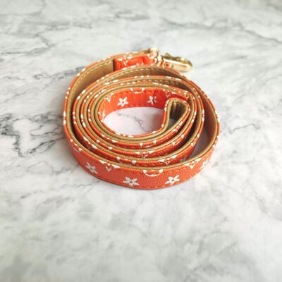 Premium-Vintage-Cuir-Laisse-pour-chien-Orange-Blossom