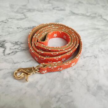 Premium-Vintage-Cuir-Laisse-pour-chien-Orange-Blossom 2