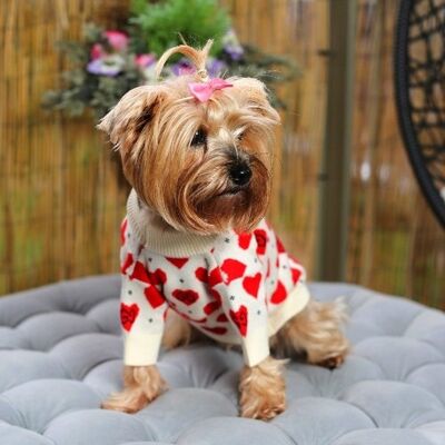 Maglione per cani di design innamorato