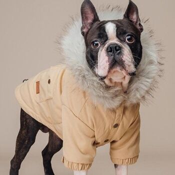 Manteau en duvet Manhattan Parka pour chien 3