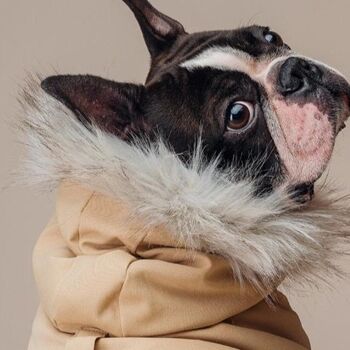 Manteau en duvet Manhattan Parka pour chien 9