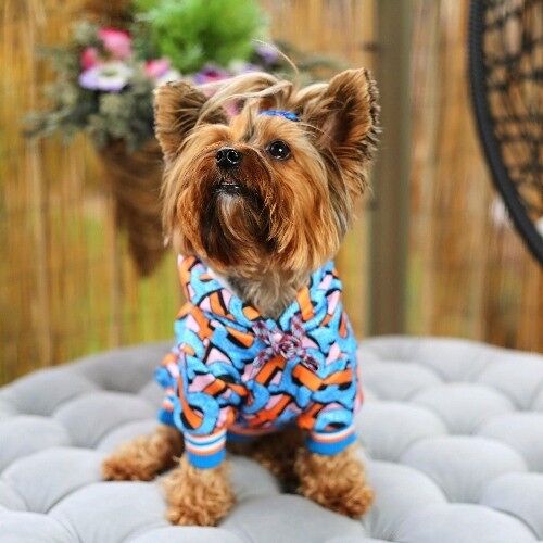 Candy Crush Dog Hoodie